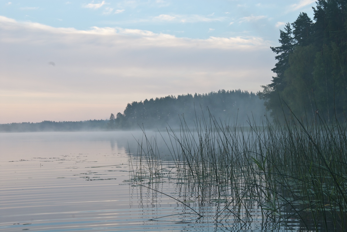 Озеро встречает новое утро. Автор фото: Вячеслав Степанов