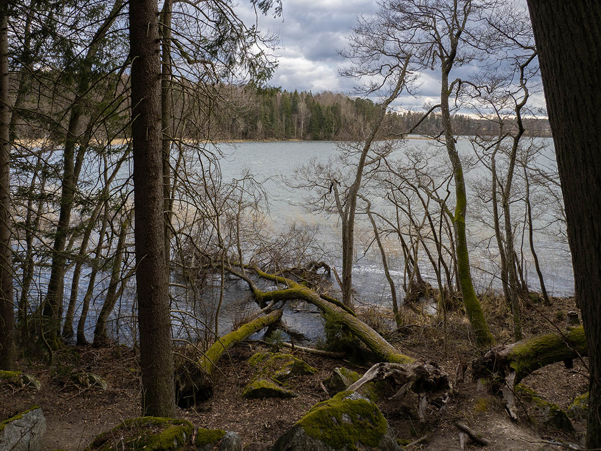 Природный парк Bornsjön (Bornsjöns naturreservat) Автор: Сутормина Марина