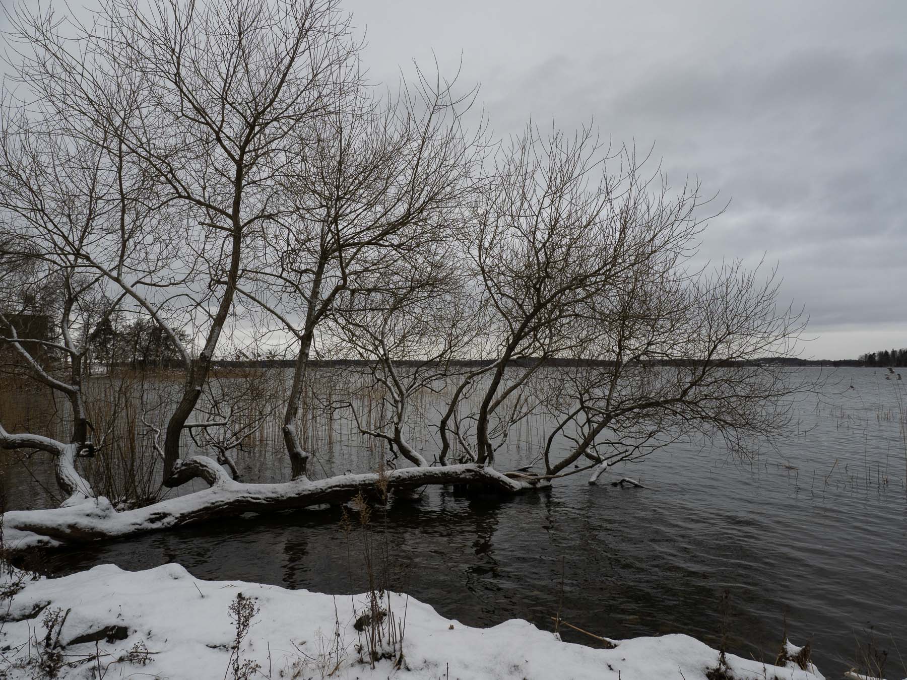 Озеро Mälaren, Стокгольм.. Автор: Сутормина Марина