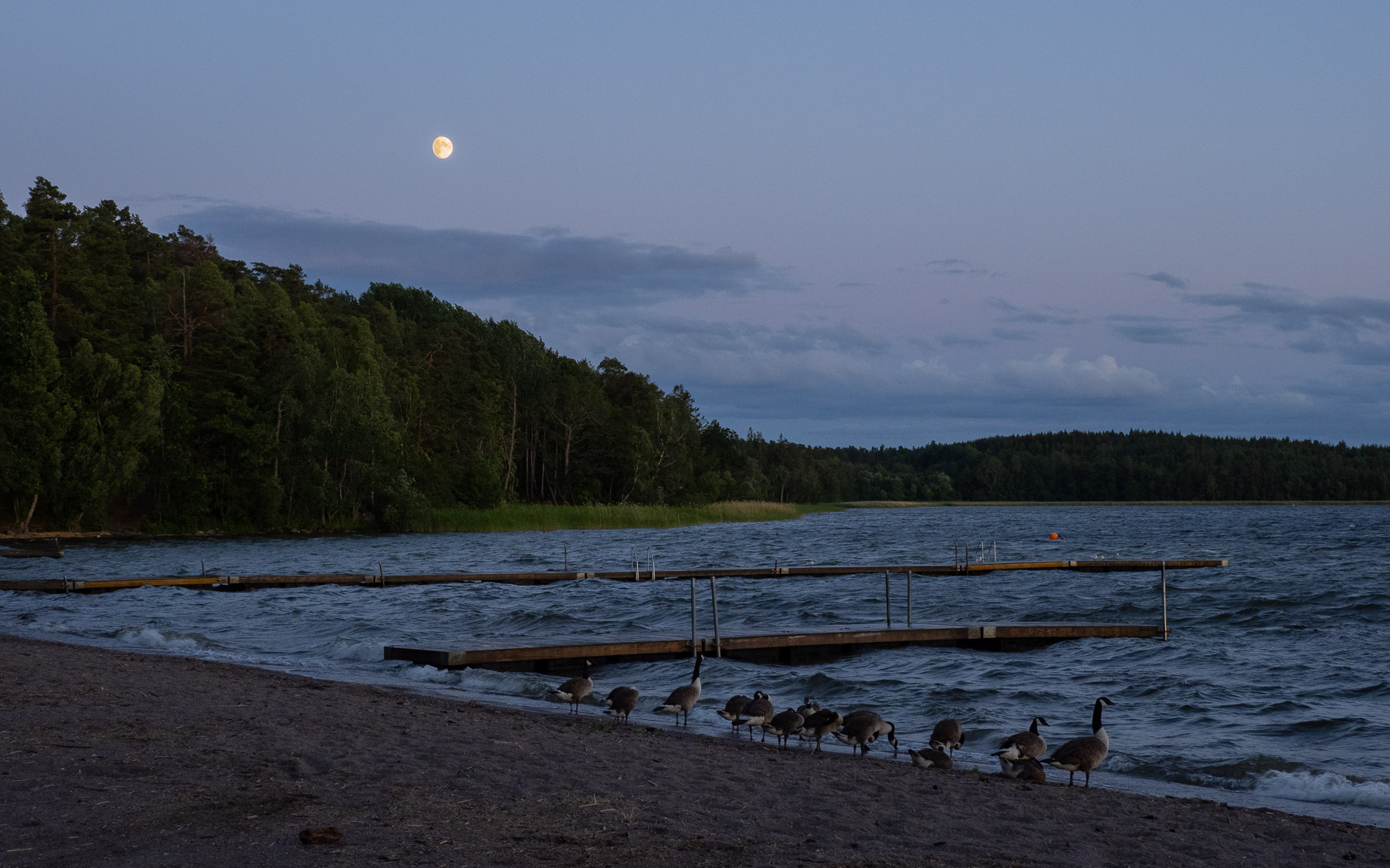 Белые ночи на озере Mälaren. Автор фото: Сутормина Марина