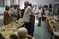 Выставка грибов в Хемнице, 2009г.; фото Йохана Метте