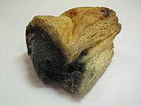 Пирожок, пораженный грибом; фото Марии Комбаровой