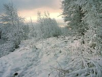 Зима; фото Юрия Семенова