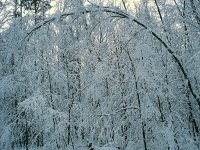 Зима; фото Юрия Семенова