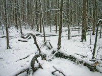 Зима ; фото Юрия Семенова