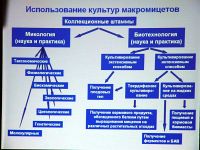 Таблица; фото Ирины Ухановой