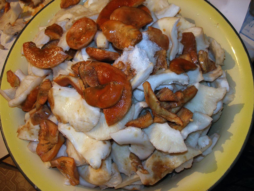 Рецепт 4: мировой закусон из Russula delica