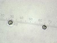Сухие споры Псевдоплектании черноватой (Pseudoplectania nigrella), х500; фото А.Е. Смирнова