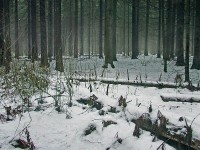  Зима; фото Юрия Семенова